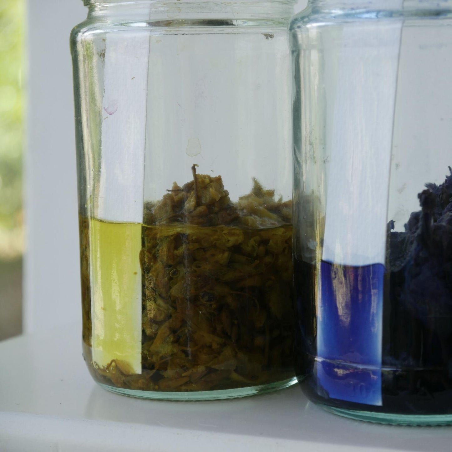 דיו בוטני - סדנת זום שלא הייתה כמוהה!! יום שישי 27.6