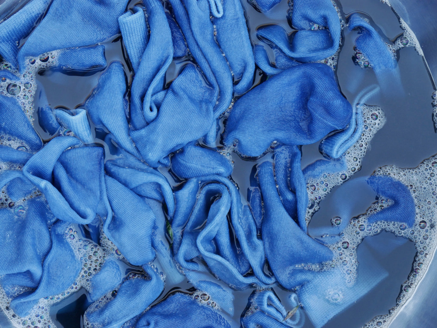 מפגש צביע עם אינדיגו - בקרוב