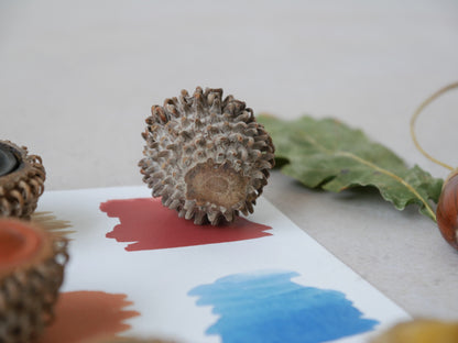 צבעים בספלולים - ערכת צבעי גואש טבעיים לילדים