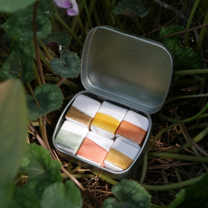 אדמות העולם - צבעי מים