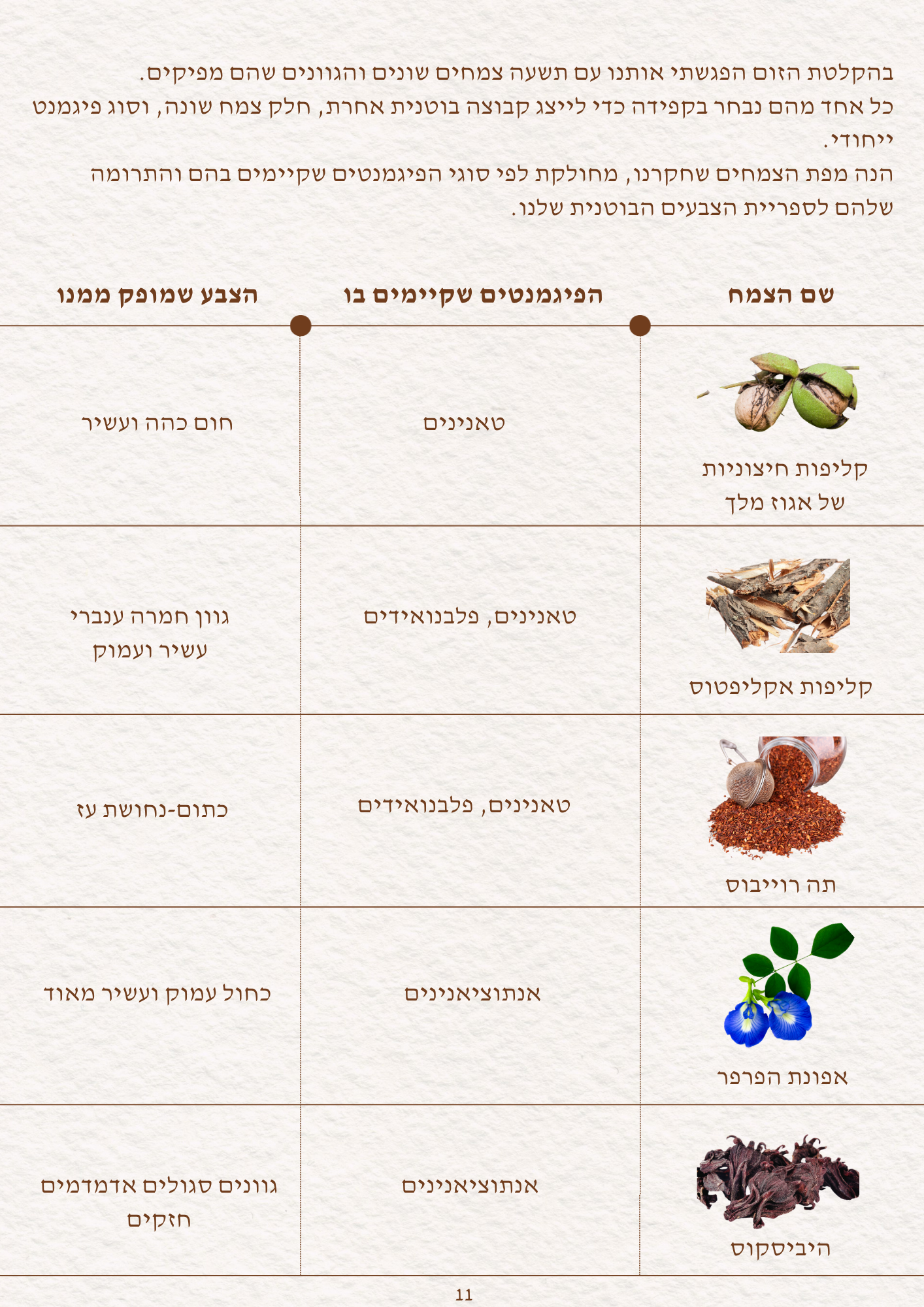 ערכת למידה דיגיטלי: דיו בוטני מצמחים