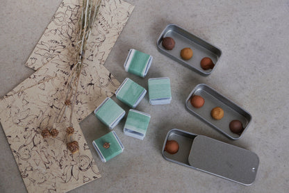 חצי שנה במועדון הצבעים - סבב המועדון הבאה מתחיל ב1.1.2026