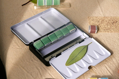 לצלול לעומק -מנוי שנתי במועדון הצבעים - סבב המועדון הבאה מתחיל ב 1.1.2026