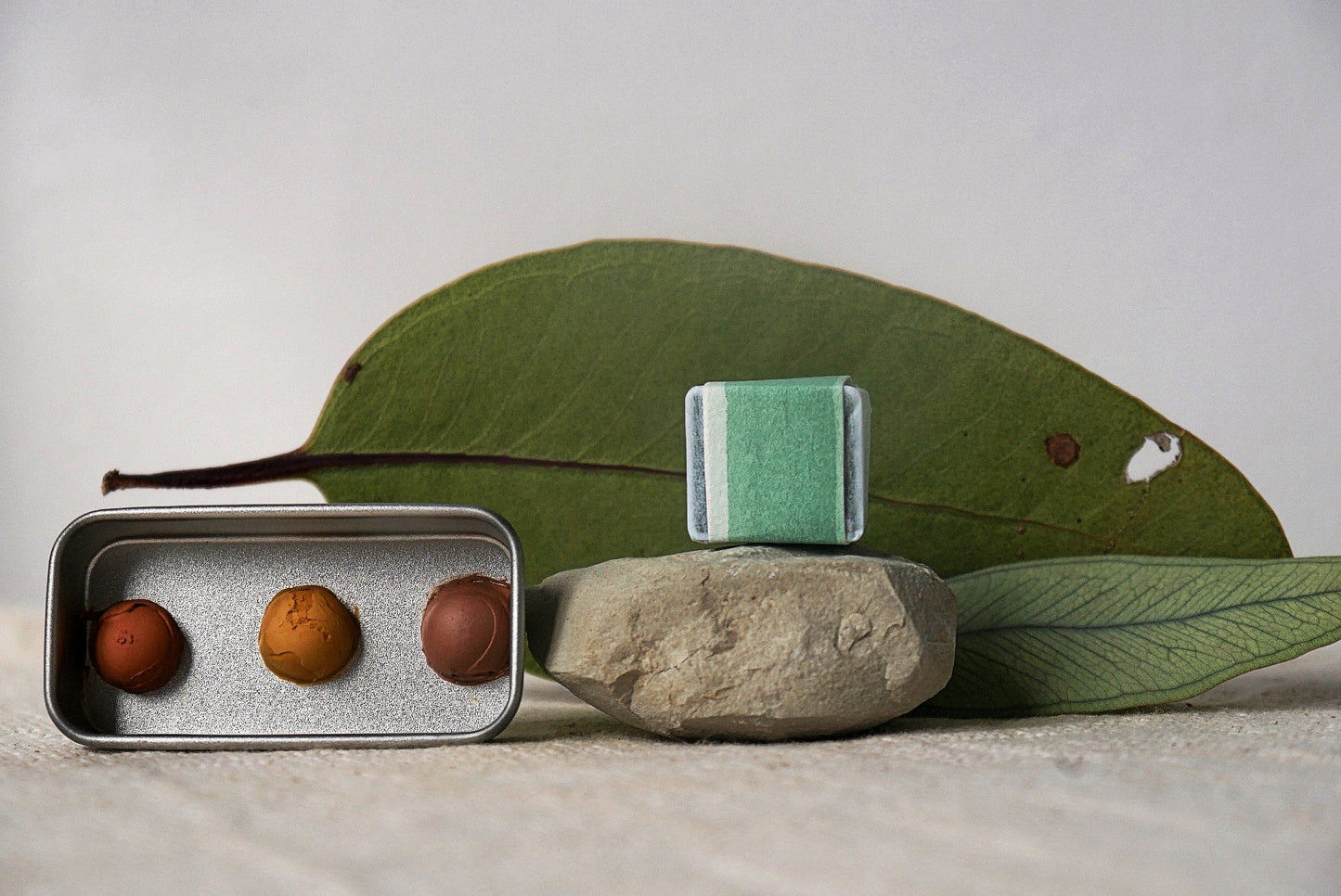 חצי שנה במועדון הצבעים - סבב המועדון הבאה מתחיל ב1.1.2026