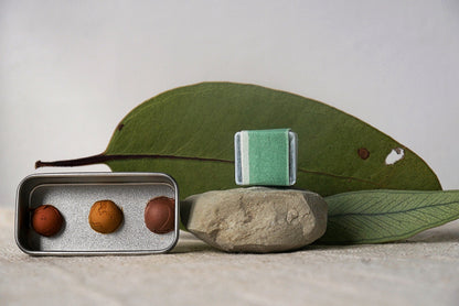 חצי שנה במועדון הצבעים - סבב המועדון הבאה מתחיל ב1.1.2026