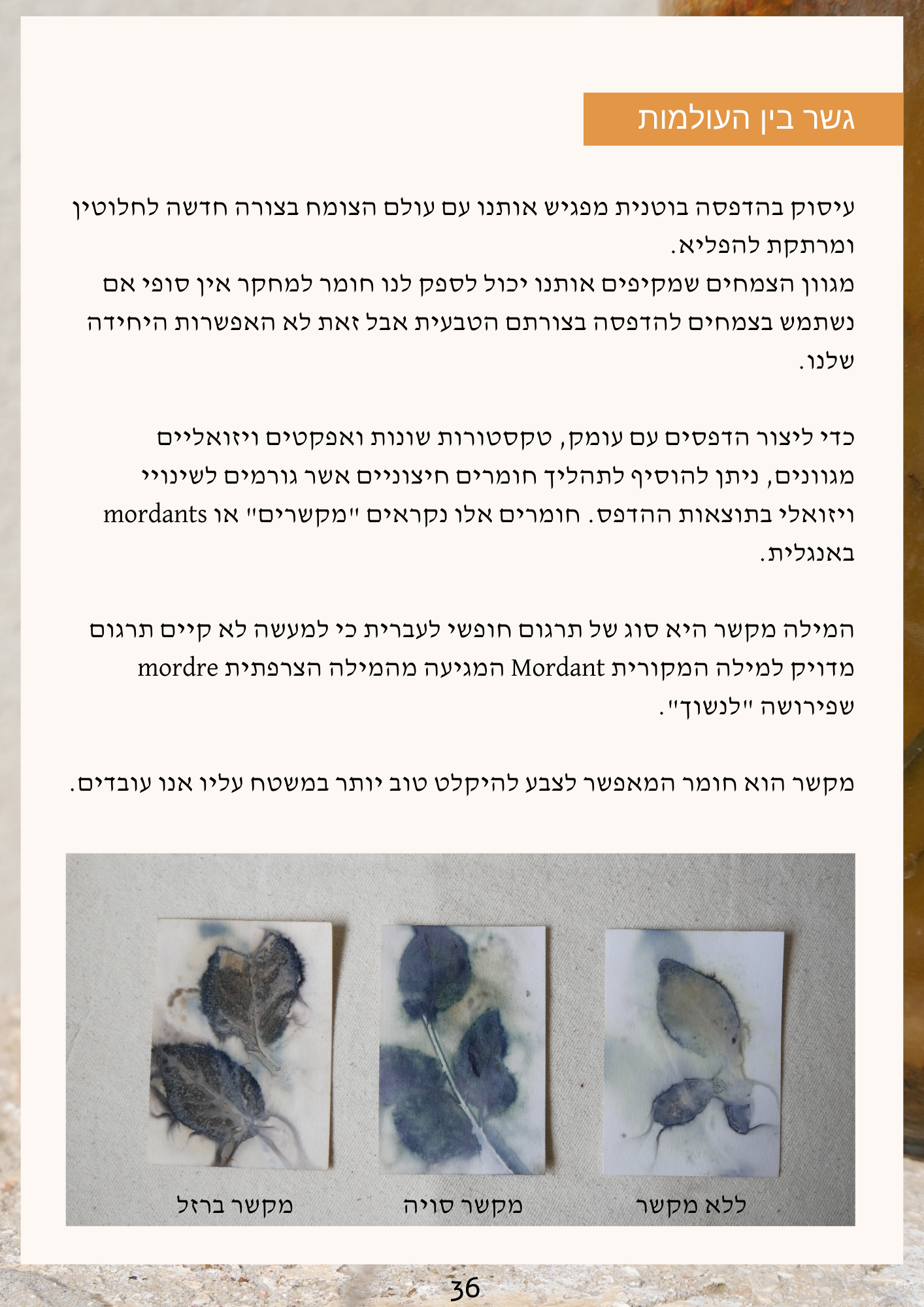 ספר דיגיטלי - סודות הצמחים - הדפסה בוטנית על נייר